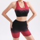 Yoga Vest with Gradient Shockproof Breathable Running Back-Stretching Push-Up Bra Top for Women